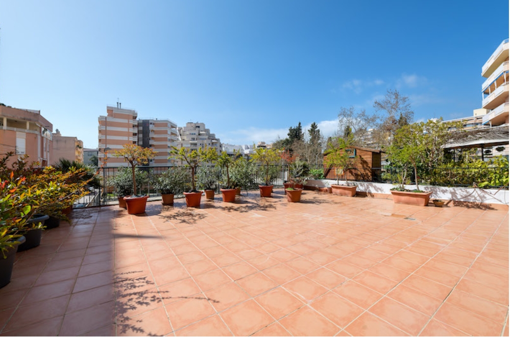 24003: Apartment with terrace and parking in Palma Santa Catalina